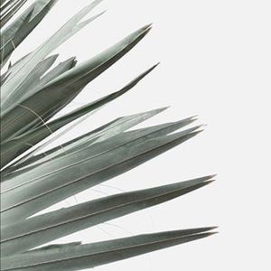 Everything beyond this point has been sold!